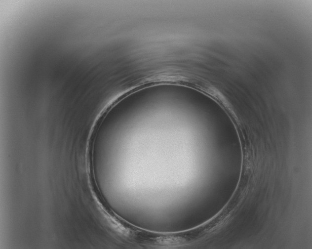 X0000068300795200604281708