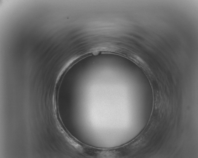 X0000068300796200604281708