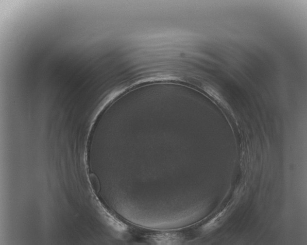 X0000068300797200604281708