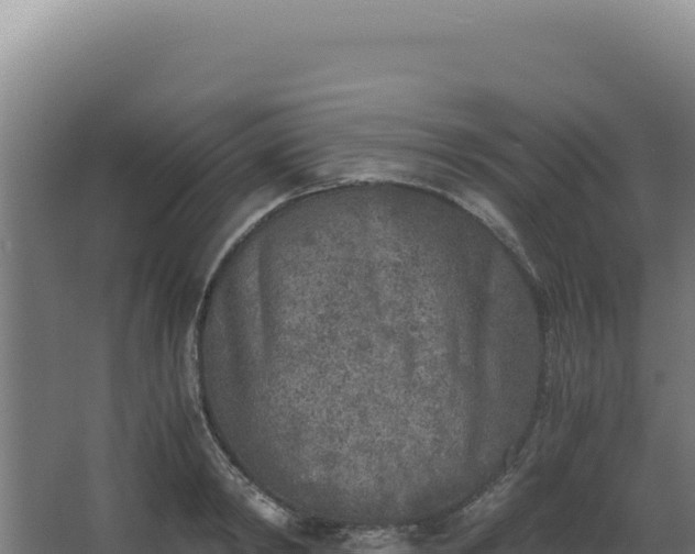 X0000068300798200604281708