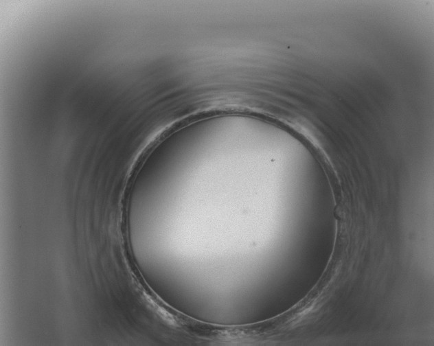 X0000068300799200604281708