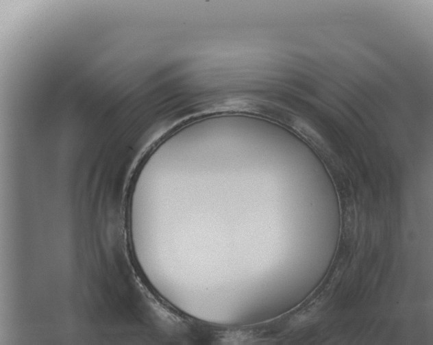 X0000068300800200604281708