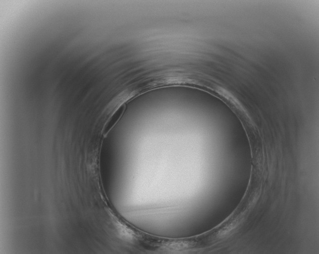 X0000068300801200604281708