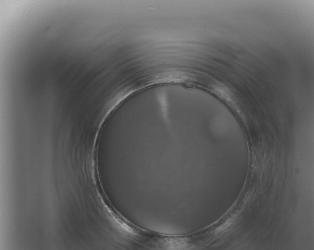 X0000068300802200604281708