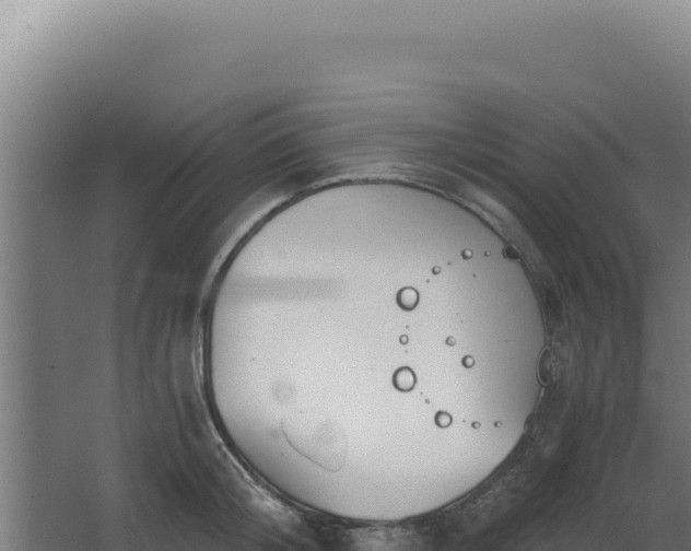 X0000068300804200604281708