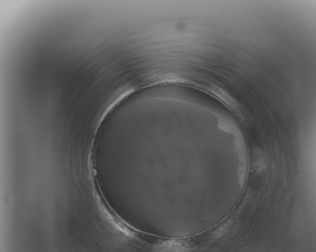 X0000068300806200604281708