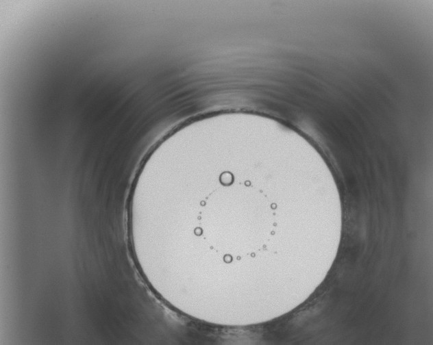 X0000068300807200604281708