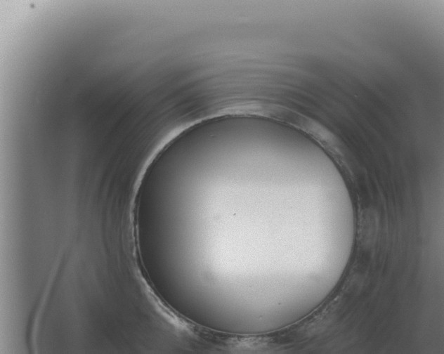 X0000068300808200604281708