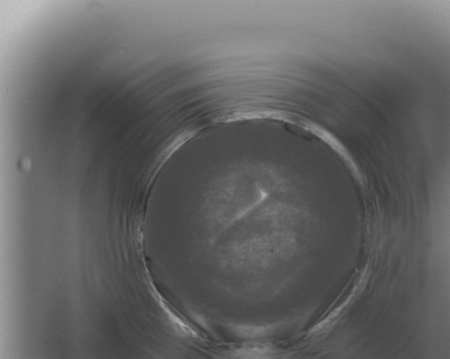 X0000068300809200604281708