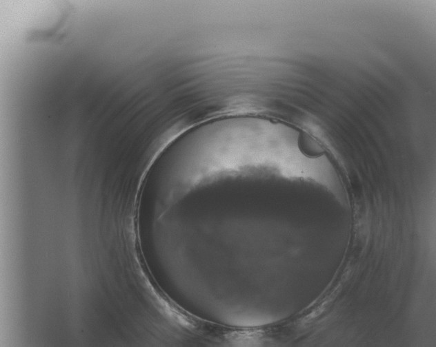 X0000068300810200604281708