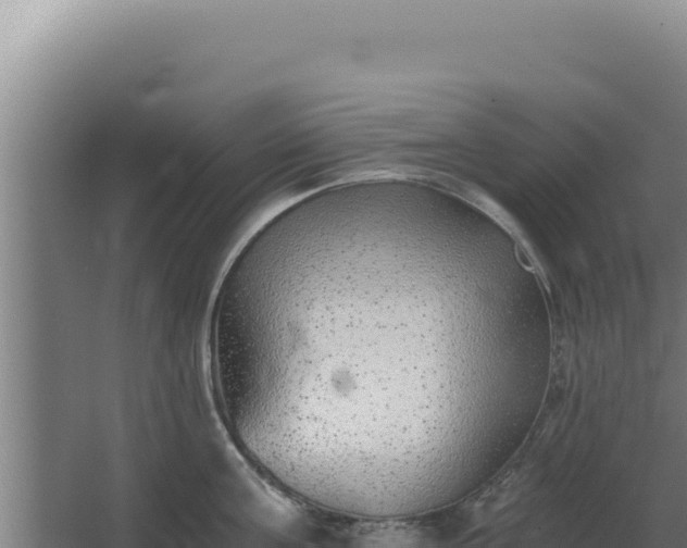 X0000068300811200604281708