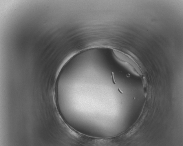 X0000068300812200604281708