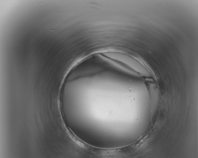 X0000068300813200604281708