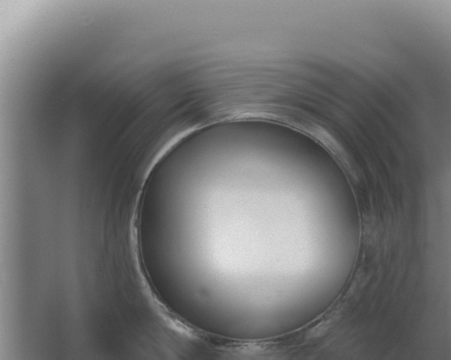 X0000068300814200604281708