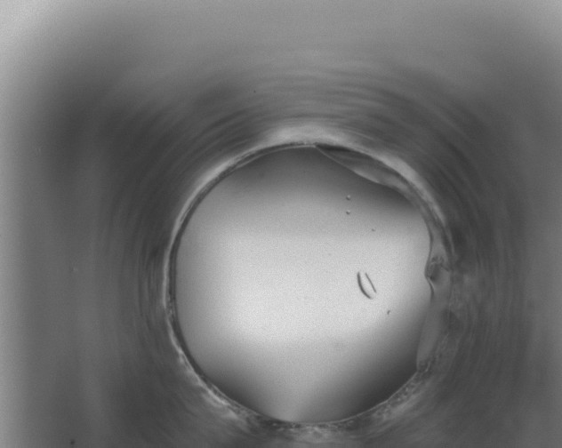 X0000068300815200604281708