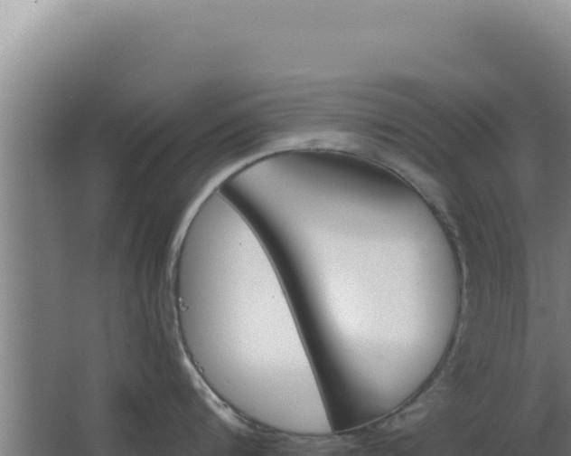 X0000068300816200604281708