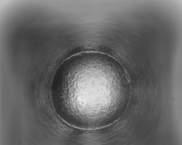 X0000068300817200604281707