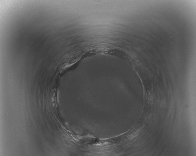 X0000068300818200604281707