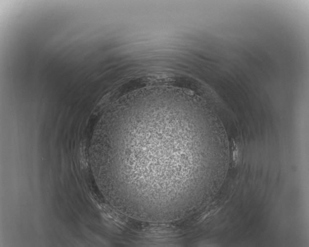 X0000068300819200604281707