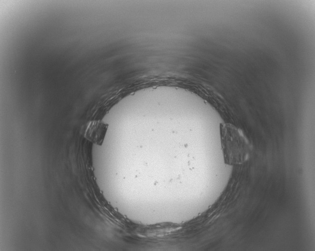 X0000068300820200604281707