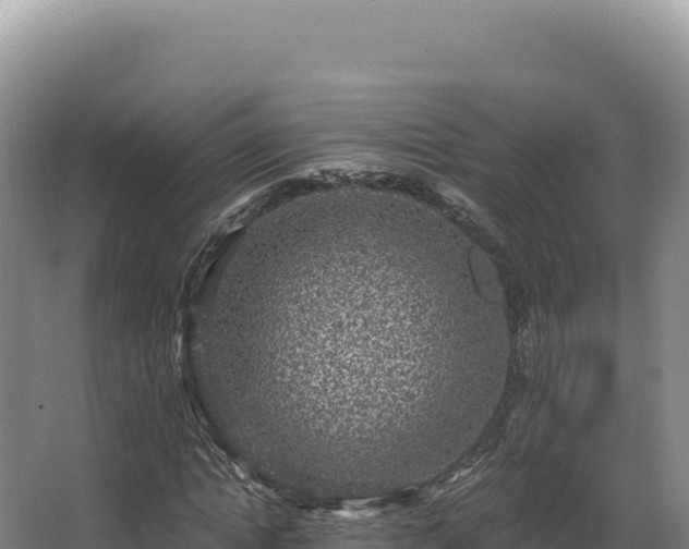 X0000068300822200604281707