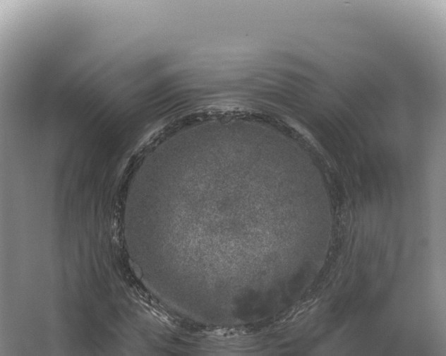 X0000068300823200604281707