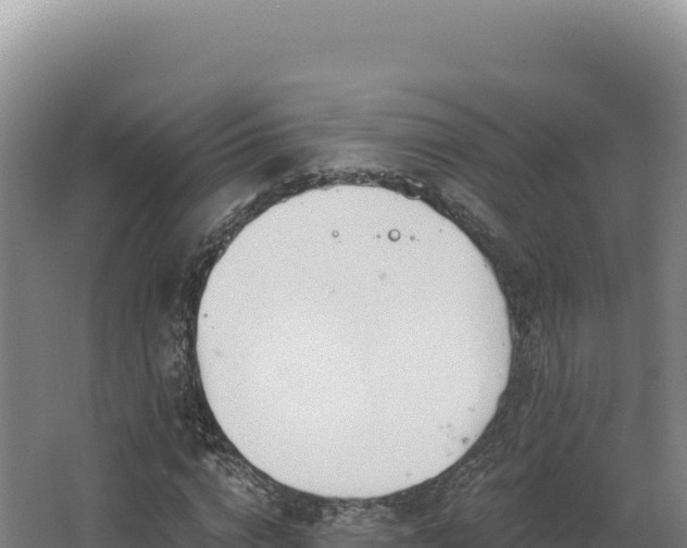 X0000068300824200604281707