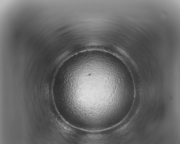 X0000068300825200604281707