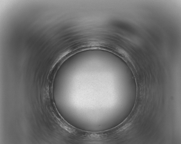 X0000068300827200604281707