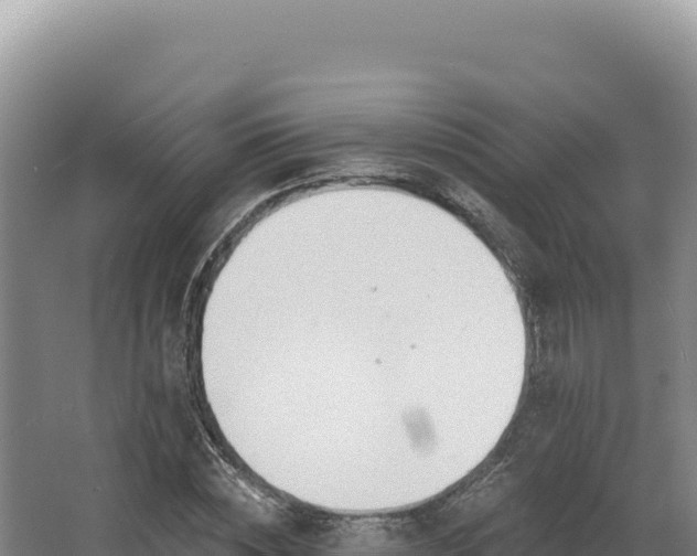 X0000068300828200604281707