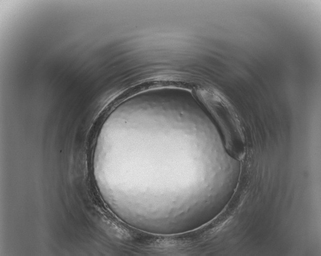 X0000068300829200604281707