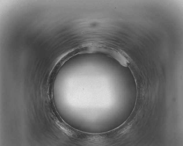 X0000068300830200604281707