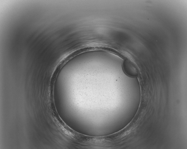 X0000068300831200604281707