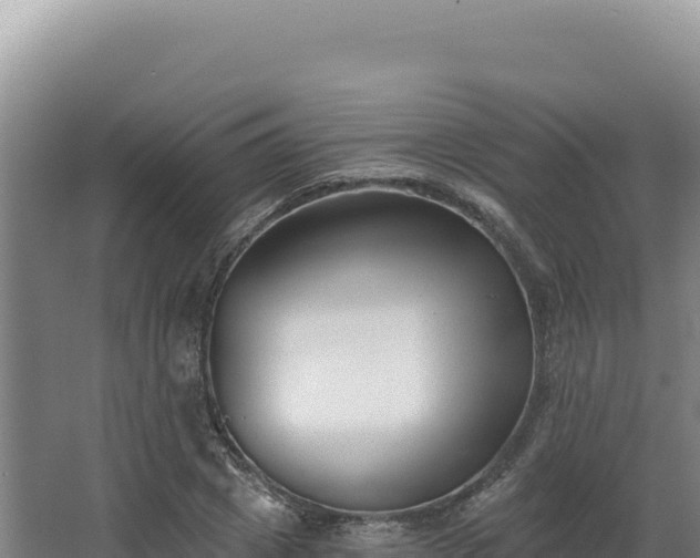 X0000068300833200604281707