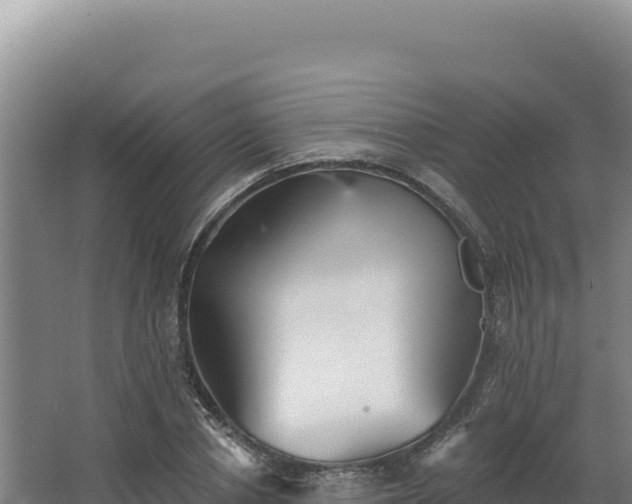 X0000068300834200604281707