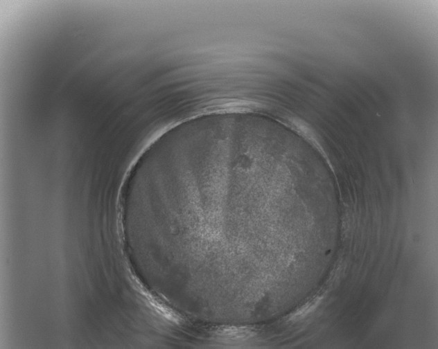 X0000068300835200604281707