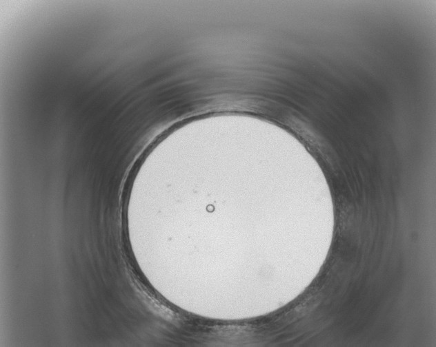 X0000068300836200604281707