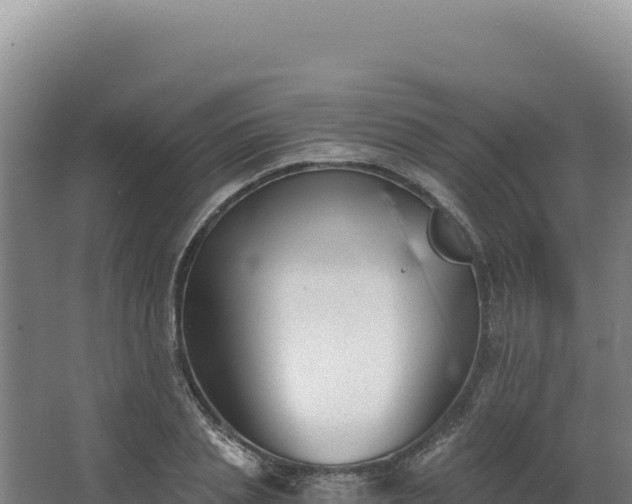 X0000068300837200604281707