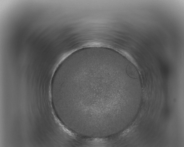 X0000068300839200604281707