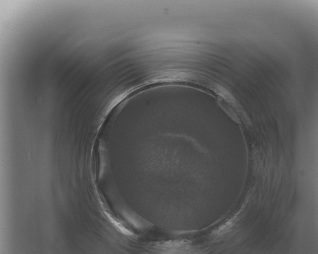 X0000068300842200604281707