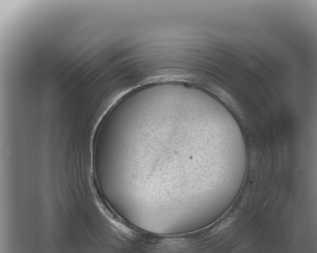 X0000068300844200604281707