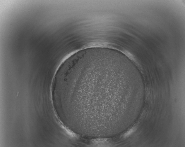 X0000068300846200604281707