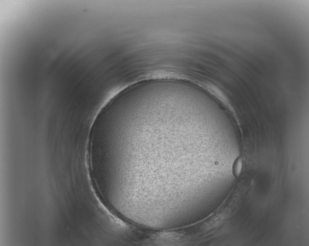 X0000068300847200604281707