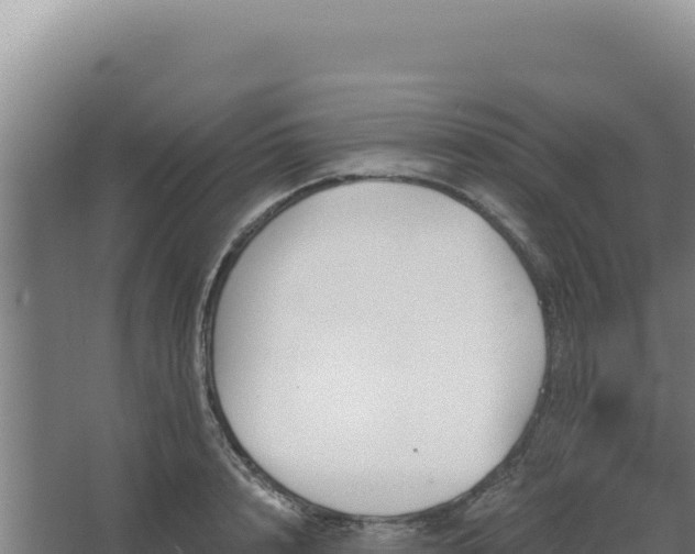 X0000068300848200604281707