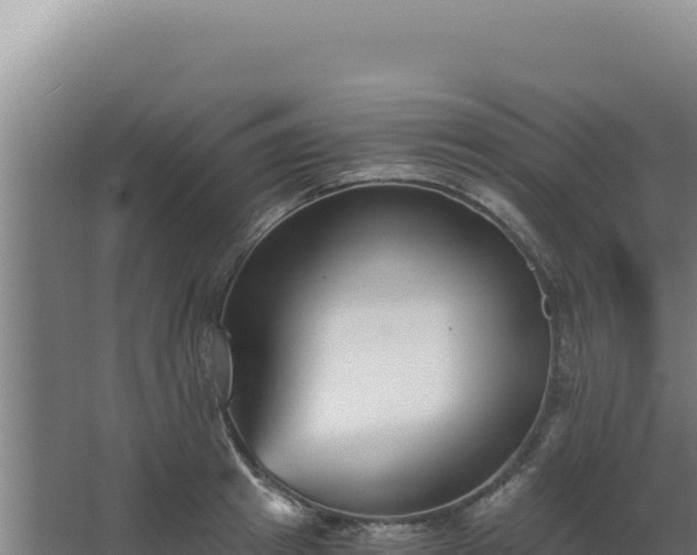 X0000068300849200604281707