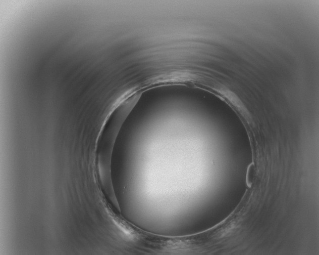 X0000068300850200604281707