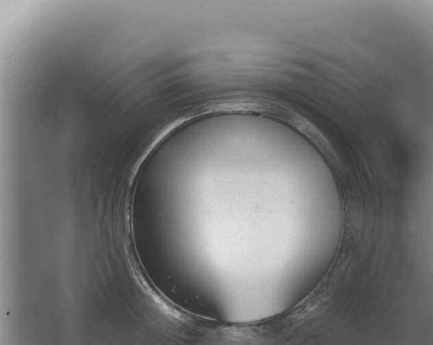 X0000068300852200604281707