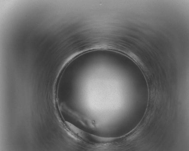 X0000068300854200604281707