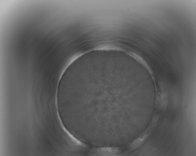 X0000068300855200604281707