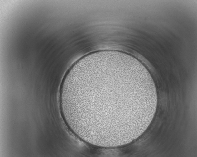 X0000068300856200604281707